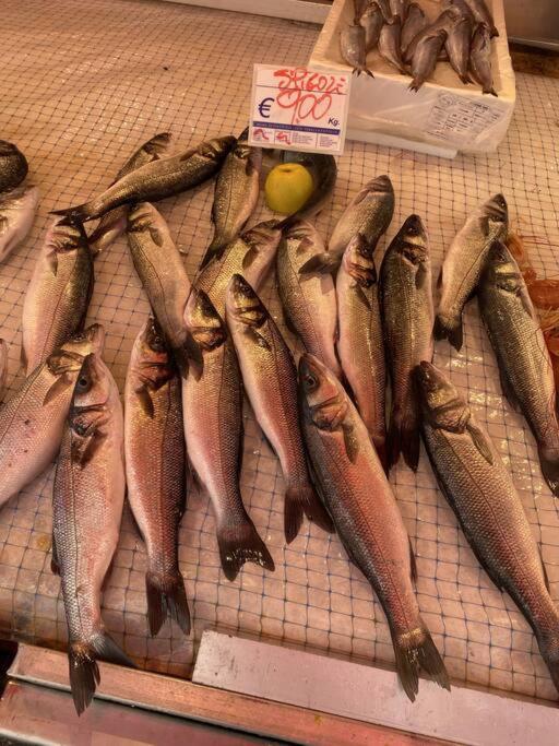 Casa Del Pescatore Di Ortigia Συρακούσες Εξωτερικό φωτογραφία
